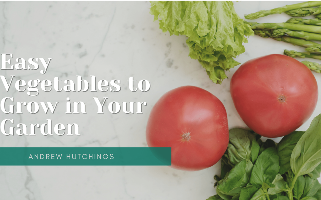 Easy Vegetables to Grow in Your Garden